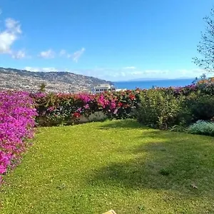 Belvedere Boutique - Adults Only Pensjonat Funchal (Madeira)